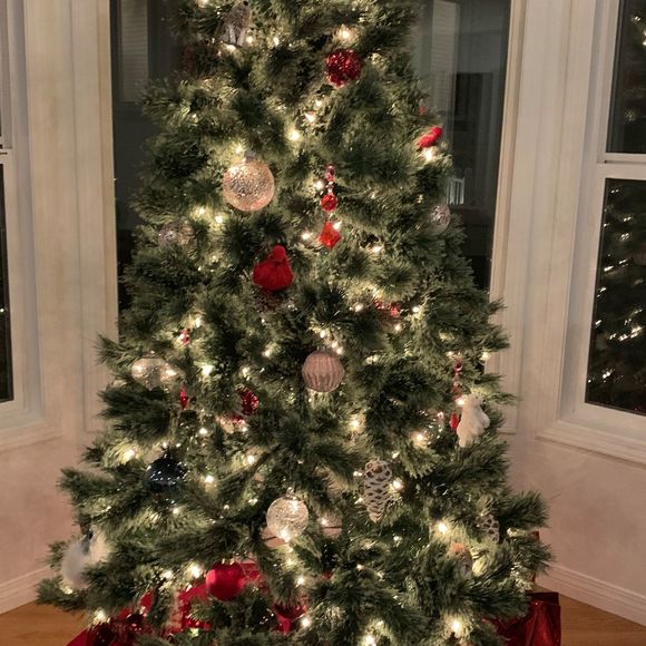 Meet your Posher, Dionne - Picture 1 of 1